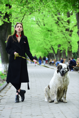 Gir walk dog in spring park. Woman owner with pet outdoor. Love, care, trust. Pet, companion, friends, friendship. Protection, alertness, bravery. alabaiの写真素材