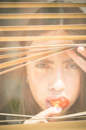 Young woman with berry in mouth. Girl eat red strawberry and look in window. Summer, ripe fruit, harvest season. Food, healthy diet, dieting. Nutrition, vitamin, health, vegetarian, natural, organic.の写真素材