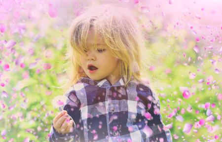 child in blooming flowers. Bloming meadowの写真素材