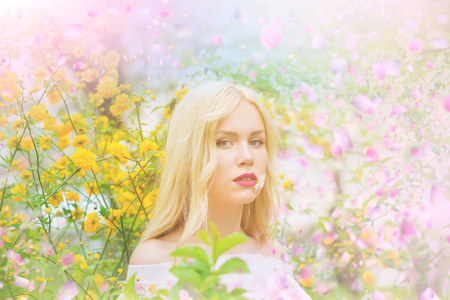 gorgeous wooman. Woman in sunny dayの写真素材