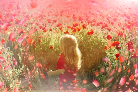 Happy children in suny day. Child have fun with flowersの写真素材