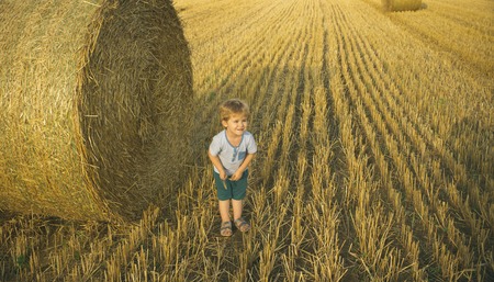 Boy with wheat at haystack in field in summer.の写真素材