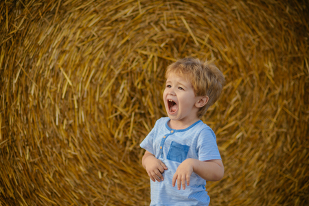 Child at hay bale on farm field, vacation. Child, childhood, youth, growth.の写真素材