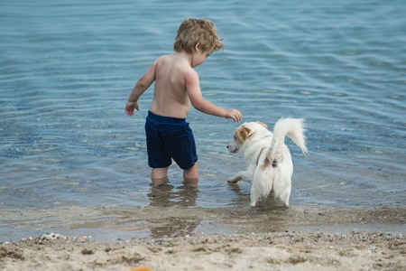 Cute child play with little dog in at seashore. Boy stand in sea water near white dog. Friends going to swim together. Friendship concept. Toddler with pet on vacation, summer holidays.の写真素材