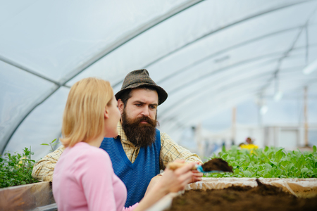 Couple working in greenhouse. Turn back female florist talking to brutal man with long beard and mustache in blue vest, yellow shirt and hat.の写真素材