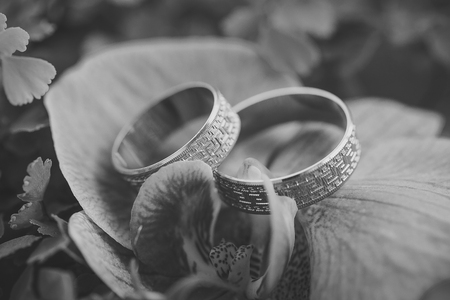 Closeup of violet fresh orchid flower with two beautiful engagement golden rings on green natural backgroud, horizontal pictureの写真素材