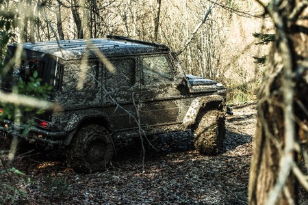 SUV covered with mud on path covered with leaves. Dirty offroad car with fall forest on background....