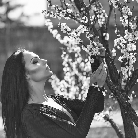 Woman with blooming apricotの写真素材