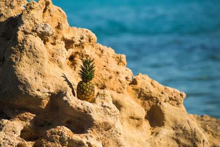 pineapple on stone in sea water. summer vacation and travel concept. vitamin and dieting with fresh fruit. healthy lifestyle and organic foodの写真素材