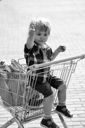 Cute boy in shopping trolleyの写真素材