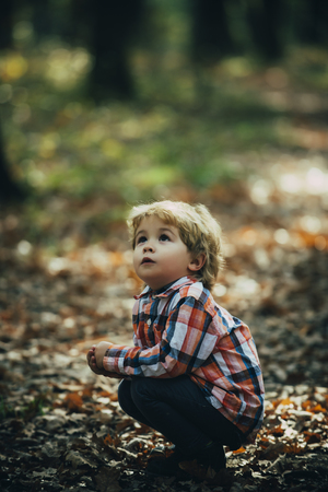 Little young caucasian boy in nature, childhood.の写真素材