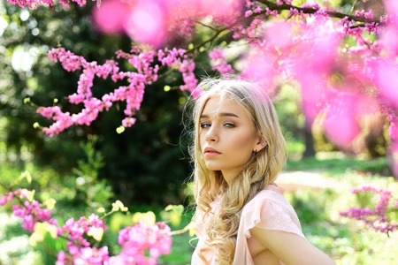 Spring bloom concept. Girl on dreamy face, tender blonde near violet flowers of judas tree, nature background. Lady walks in park on sunny spring day. Young woman enjoy flowers in garden, defocused.の写真素材