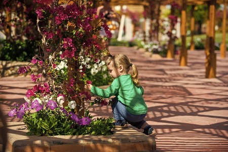 Toddler play and picking flowers at the park.の写真素材
