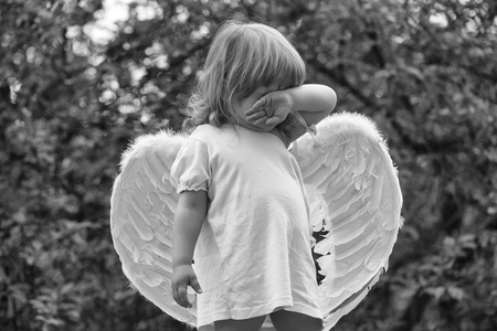 small boy in angel wingsの写真素材