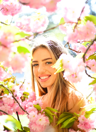 Spring beauty girl with long hair outdoors. Blooming sakura tree. Romantic young woman portraitの写真素材
