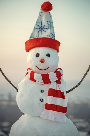 Happy Snowman. Happy holiday and celebration.の写真素材