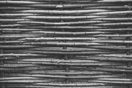 Garden decor. Natural tree trunk texture
