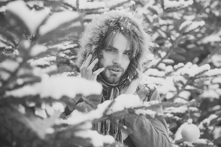 winter skin care. Guy on fir trees on snowy natureの写真素材