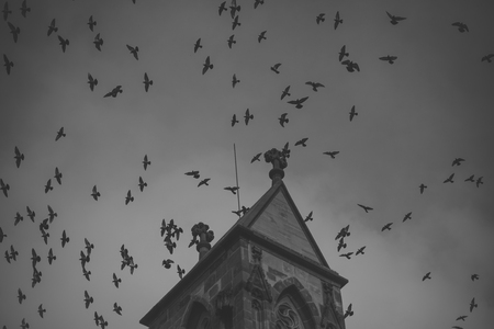dark birds fly on cloudy sky near top of gothic castle. Medieval architecture, dramatic sight, classy style concept.の写真素材