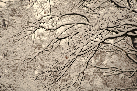 Winter landscape. Beautiful winter landscapeの写真素材