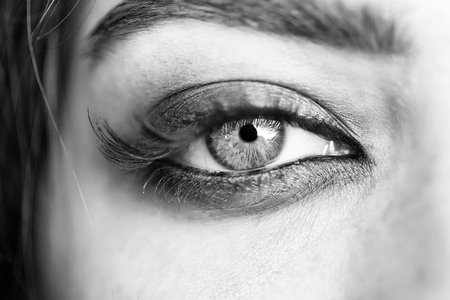 eye shadow. Female eye with long eyelashesの写真素材