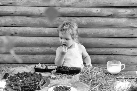 vacation in the countryside. Cute little boy eats berriesの写真素材