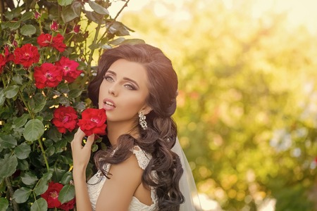 Wedding celebration. Beauty and fashion.の写真素材