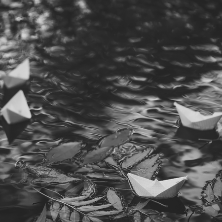 autumn yearning. Colorful leaves on waterの写真素材
