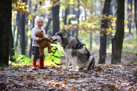 Active rest and child activity on fresh air outdoor. Active girl play with dog in autumn forestの写真素材