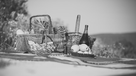 picnic in nature. Picnic set outsideの写真素材