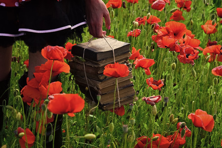 Education, business, grammar, woman with books.の写真素材