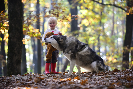 Dog husky with child on fresh air outdoor. Dog and little girl in autumn forestの写真素材