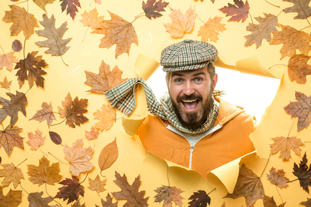 Autumn leaves background. Ready for text. Hello Autumn and Dreams. Black friday sale. Autumn trend and vogue. Hello September. Visit my page.の写真素材