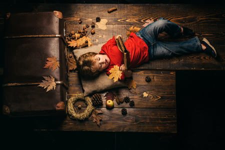 Copy space for advertising. Family childhood lifestyle concept. Autumn tree and autumn forest. Autumn sale or black friday. Happy cute clever boy. Black friday shopping.の写真素材