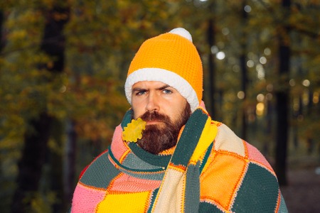 Young cute man lies on a wooden floor with autumn leaves. Autumn mood and the weather are warm and sunny and rain is possible.の写真素材