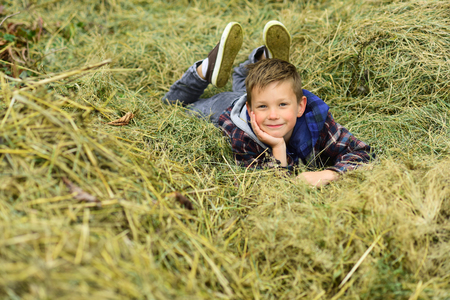 Happy and carefree. Happy boy. Little boy happy smiling. Little boy enjoy relaxing on hay. Its where Im most happyの写真素材