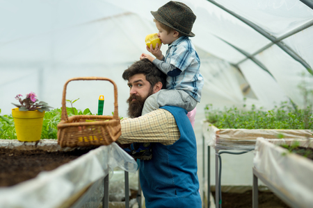 father and son in greenhouse at fathers day.の写真素材