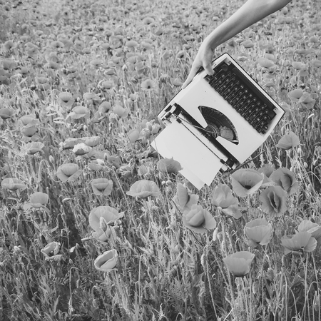Journalism and writing, summer.の写真素材