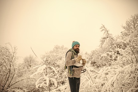 Winter sport and rest, Christmas.の写真素材