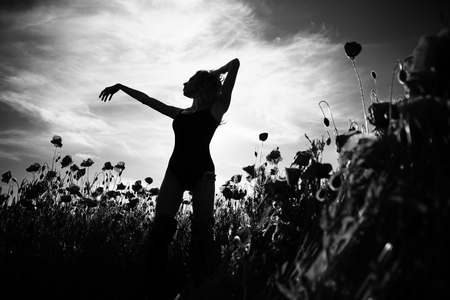 pretty girl in flower field of poppy seedの写真素材