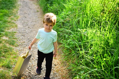 Happy kid in blooming nature. Little boy child in green forest. Small child with toy in shopping bag. summer. Childhood happiness. Childrens day. spring holiday. Sunny weather. Come with me.の写真素材