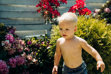 Spring flowers. Childhood. Summer. Mothers or womens day. Childrens day. Small baby boy. New life concept. Spring holiday. Little boy at blooming flower. Enjoying summer rest.の写真素材