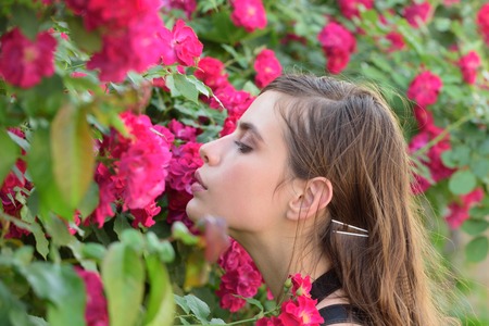 Gorgeous beauty. Pretty girl at blossoming rose bush. Summer flower blossom. Cute girl with red...