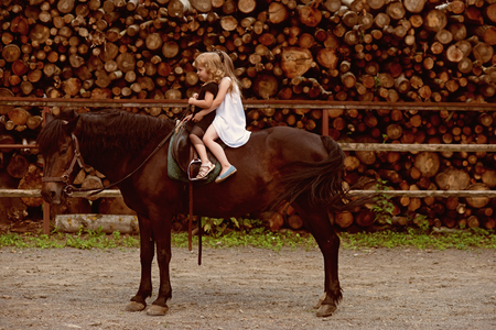 Girls ride on horse on summer dayの写真素材