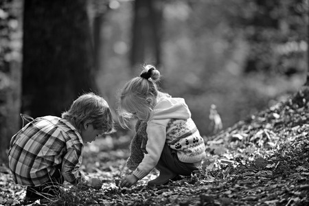 Brother and sister camping in autumn forest. Children pick acorns from oak trees. Little boy and girl friends have fun on fresh air. Childhood and child friendship. Kids activity and active restの写真素材