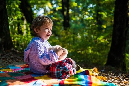 Cute boy with Autumn Leaves on Fall Nature Background. Hello Autumn bye Summer.の写真素材
