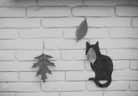 Black cat and autumn leavesの写真素材