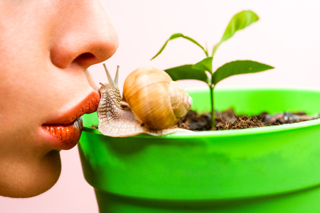 Skincare repairing. Healing mucus. Having fun with adorable snail. Spa and wellness. Cosmetics and snail mucus. Cosmetology beauty procedure. Girl and cute snail. Skin care. Massage with snailの写真素材