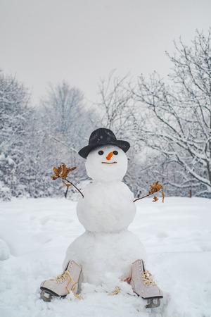 Cute snowman in hat and scarf on snowy field. Snowmen. Merry Christmas and Happy new year. Funny snowmen. Snowman the friend is standing in winter hat and scarf with red nose.の写真素材