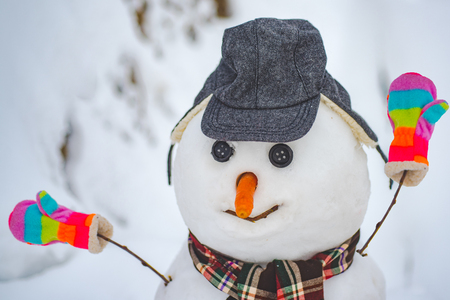 The snowman is wearing a fur hat and scarf. Funny snowman in stylish hat and scarf on snowy field. Merry Christmas and Happy new year.の写真素材